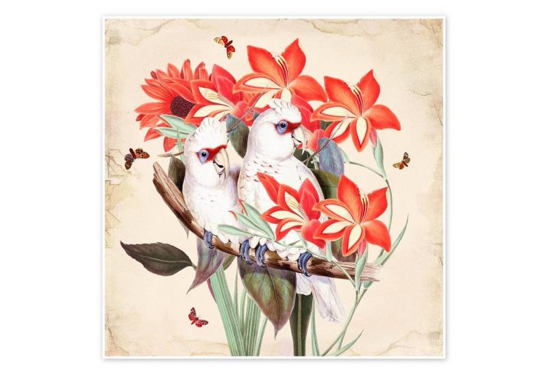 Posterlounge Poster Mandy Reinmuth, Oh My Parrot XI, Wohnzimmer Orientalisches Flair Illustration von Posterlounge