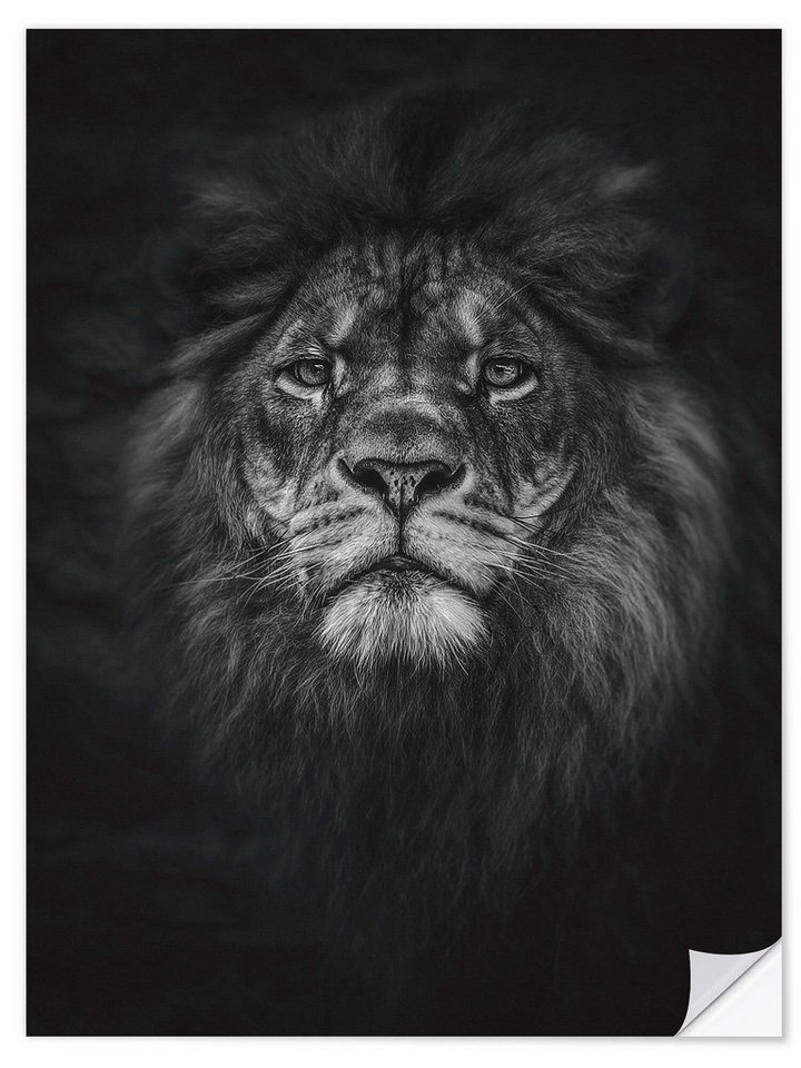 Posterlounge Wandbild Majestätisch, Manuela Kulpa, erhältlich als Poster, Leinwandbild, Wandsticker oder Acrylglasbild von Posterlounge