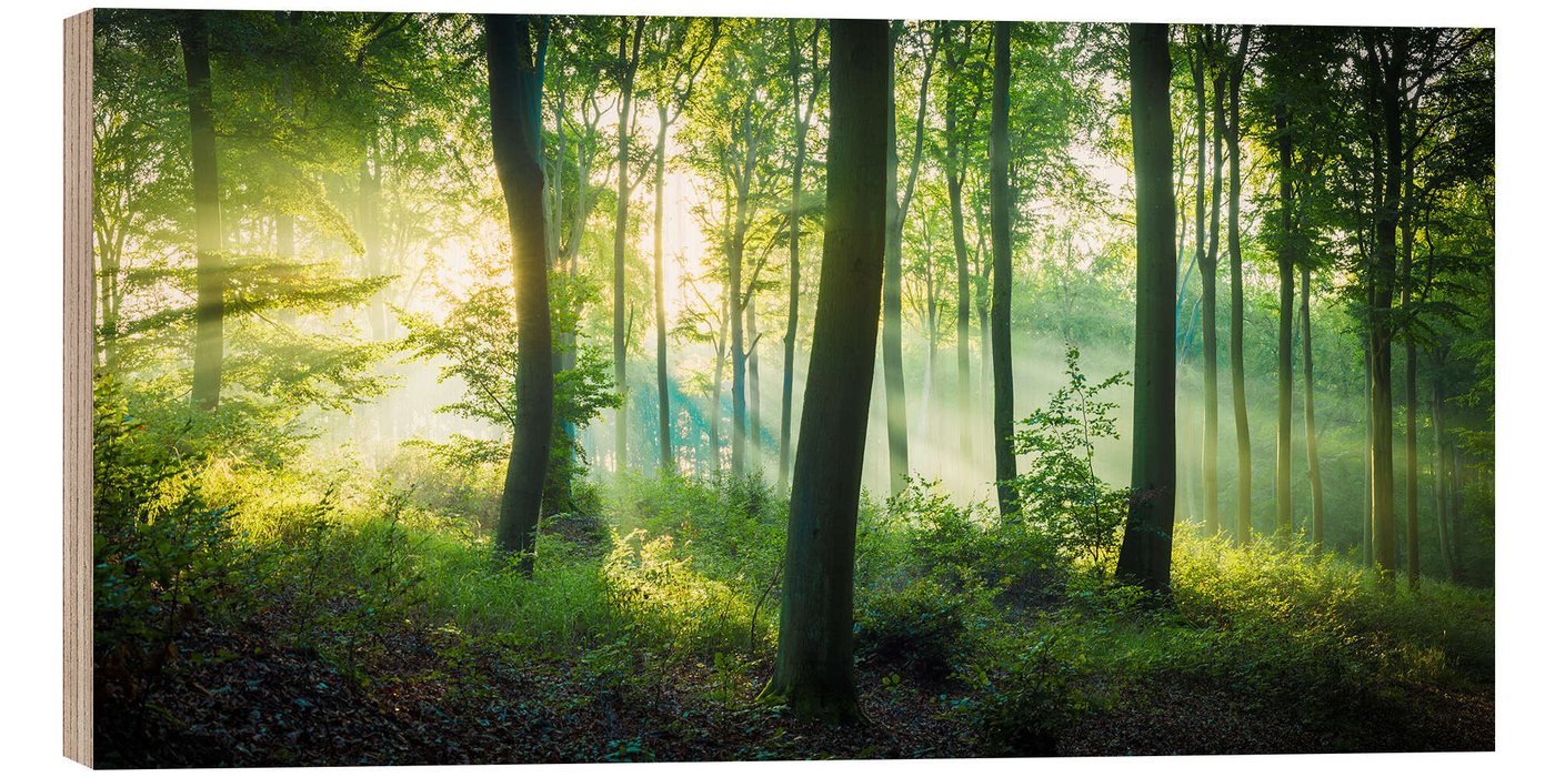 Posterlounge Wandbild Licht im Wald, Martin Wasilewski, erhältlich als Poster, Leinwandbild, Wandsticker oder Acrylglasbild Posterlounge Wandbild Licht im Wald, Martin Wasilewski, erhältlich als Poster, Leinwandbild, Wandsticker oder Acrylglasbild von Posterlounge
