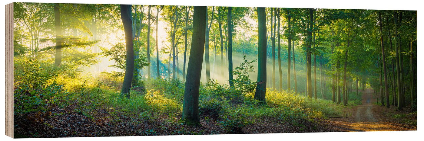 Posterlounge Wandbild Wald Panorama, Martin Wasilewski, erhältlich als Poster, Leinwandbild, Wandsticker oder Acrylglasbild Posterlounge Wandbild Wald Panorama, Martin Wasilewski, erhältlich als Poster, Leinwandbild, Wandsticker oder Acrylglasbild von Posterlounge