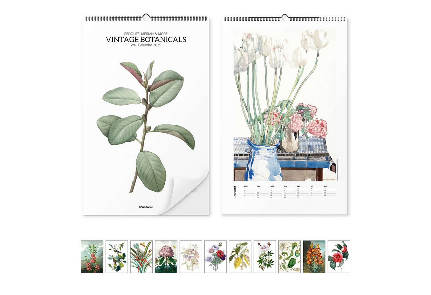 Posterlounge Poster Master Collection, Botanik Kalender - Vintage Botanicals 2026, Wohnzimmer Skandinavisch Grafikdesign von Posterlounge