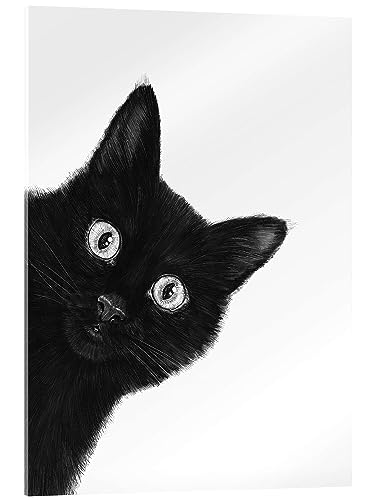Posterlounge Schwarze Katze Acrylglasbild von Valeriya Korenkova 30 x 40 cm Schwarz-Weiß Lustiges Wanddeko von Posterlounge