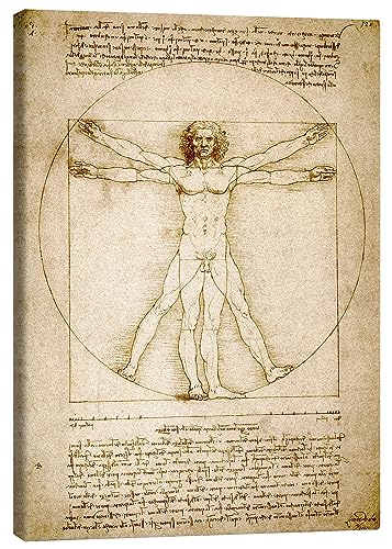 Posterlounge Vitruvianischer Mensch Leinwandbild von Leonardo da Vinci 30 x 40 cm Beige Zeichnung & Skizze Wanddeko von Posterlounge