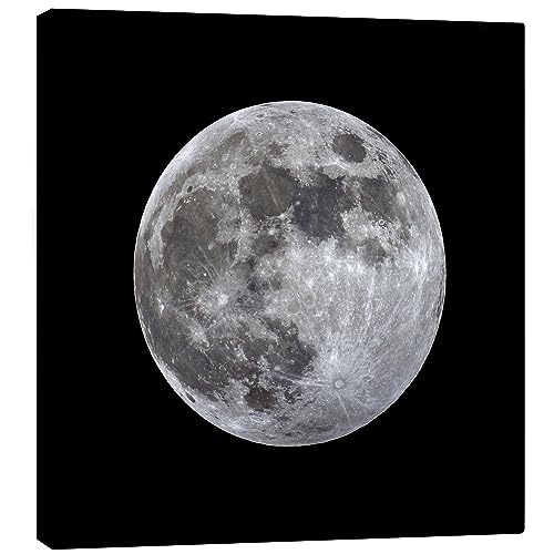 Posterlounge Vollmond Leinwandbild von MonarchC 40 x 40 cm Grau Natur Wanddeko von Posterlounge