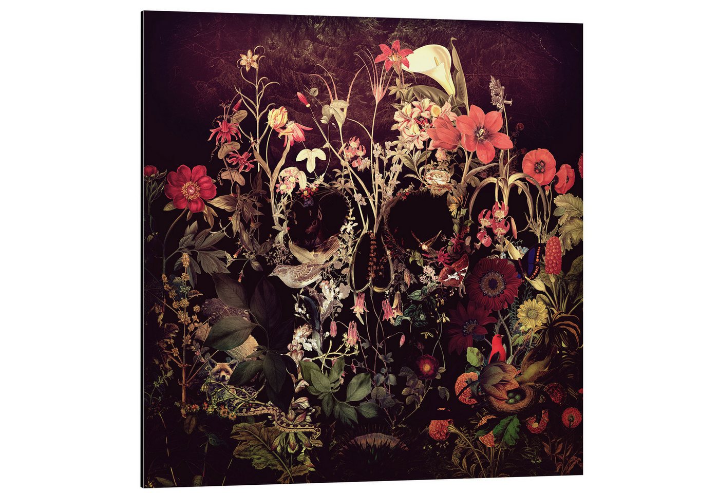 Posterlounge Wandbild Bloom Skull, Ali Gulec, erhältlich als Poster, Leinwandbild, Wandsticker oder Acrylglasbild Posterlounge Wandbild Bloom Skull, Ali Gulec, erhältlich als Poster, Leinwandbild, Wandsticker oder Acrylglasbild von Posterlounge