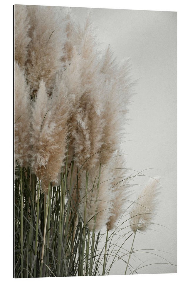 Posterlounge Wandbild Pampas, Studio Nahili, erhältlich als Poster, Leinwandbild, Wandsticker oder Acrylglasbild Posterlounge Wandbild Pampas, Studio Nahili, erhältlich als Poster, Leinwandbild, Wandsticker oder Acrylglasbild von Posterlounge