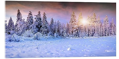 Posterlounge Winter-Sonnenaufgang im Bergwald Acrylglasbild Wandbilder für jeden Raum 80 x 40 cm Botanik Wanddeko von Posterlounge
