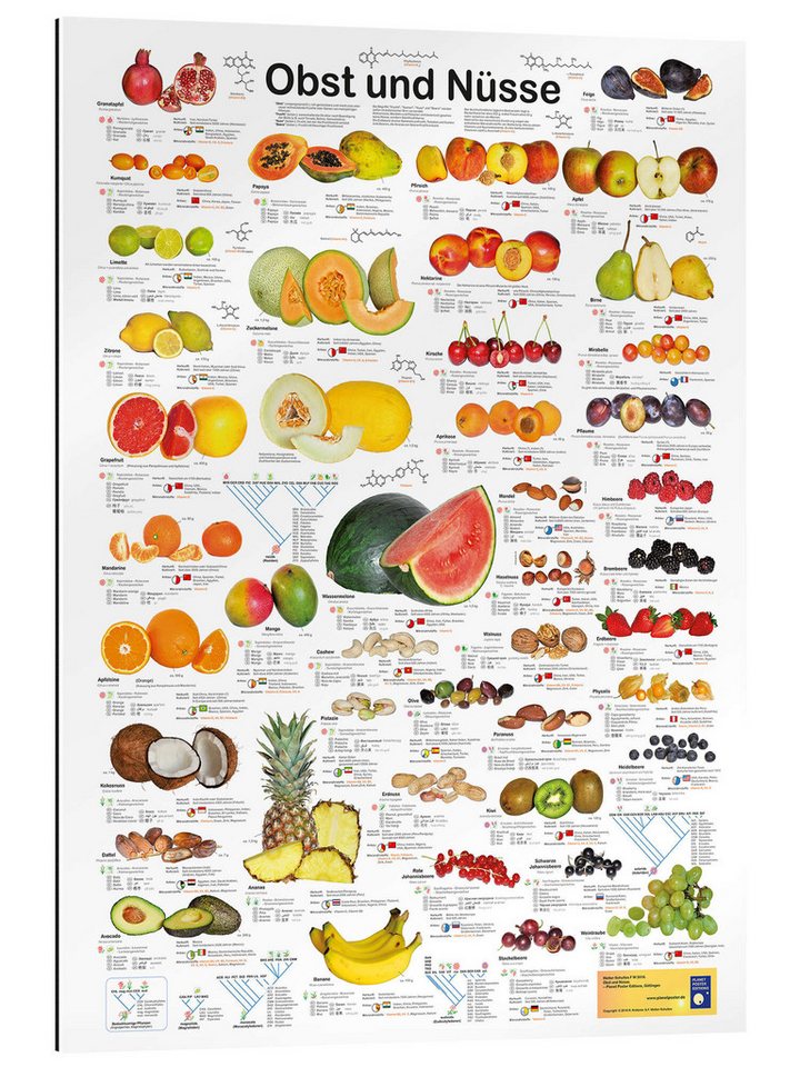 Posterlounge XXL-Wandbild Planet Poster Editions, Obst und Nüsse, Klassenzimmer Illustration von Posterlounge