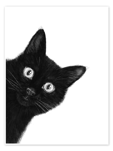 Schwarze Katze Poster von Valeriya Korenkova 50 x 70 cm Schwarz-Weiß Wandbilder Wanddeko von Posterlounge