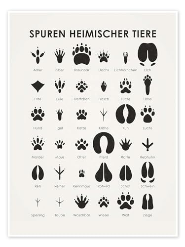 Spuren heimischer Tiere I Poster von Iris Luckhaus Wandbilder für jeden Raum 30 x 40 cm Schwarz-Weiß Geschenkideen Wanddeko von Posterlounge