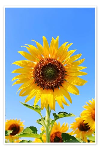 Strahlende Sonnenblume Poster 20 x 30 cm Blumen Wanddeko von Posterlounge