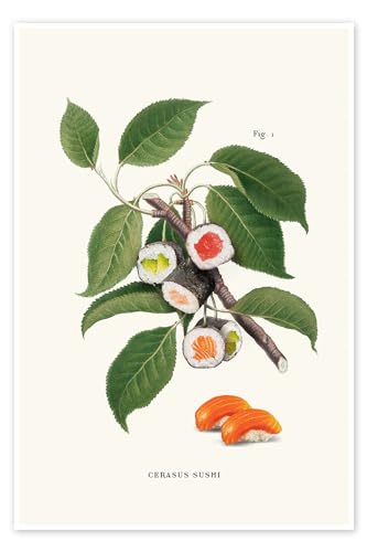 Sushi-Pflanze Poster von Jonas Loose 20 x 30 cm Botanik Wanddeko von Posterlounge