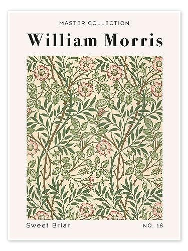 Sweet Briar No. 18 Poster von William Morris 50 x 70 cm Floral Wanddeko von Posterlounge