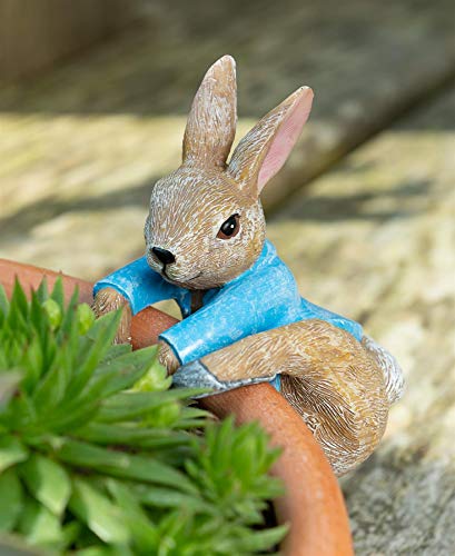 Pot Buddies Beatrix Potter Peter Hase Kletterfigur Pflanztopf Aufhänger - Handgefertigte Gartenfigur - Dekorative Blumenübertopf Figur für Außen oder Innen von Pot Buddies