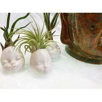 Baby Face Mini Vase Mit Luftpflanze Baby Face Mini Vase Mit Luftpflanze von PotHeadPotteryStore