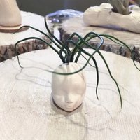 Babydoll Vase Mit Luftpflanze von PotHeadPotteryStore