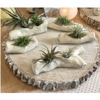 Großes Holz Mit Luftpflanze von PotHeadPotteryStore