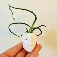 Old Man Topfköpfe Mit Luftpflanze von PotHeadPotteryStore