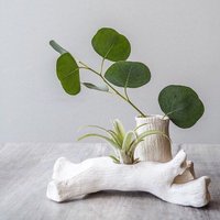 Treibholz Vase Mit Luftpflanze von PotHeadPotteryStore