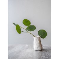 stumpen Mini Vase Mit Luftpflanze von PotHeadPotteryStore