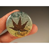 Cabinet Door Knob/Drawer Pull Sweet Gum Impression With Green Leaf Glaze Wheelthrown Ceramic Knobs Cabinet Door Knob/Drawer Pull Sweet Gum Impression With Green Leaf Glaze Wheelthrown Ceramic Knobs von PotsbydePerrot