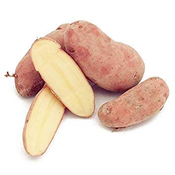 Potseed . 100 Russian Banana Fingerkartoffel Bio-Gemüse Obst Süß Gesunde Küche Kochen Lebensmittel Gartenpflanze NO GMO: 2 von Potseed