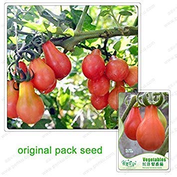 Potseed 25 Samen/Pack, rote Birne Tomaten, Tomatensamen, Balkon Topf Gemüse, Grün, Obst, von Potseed