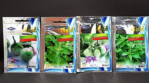 Potseed Keimfutter: 3340 Seeds 4 Variety Thai Gemüse und Kräuter Runde Aubergine Hoary - Heiliges Basilikum von Potseed