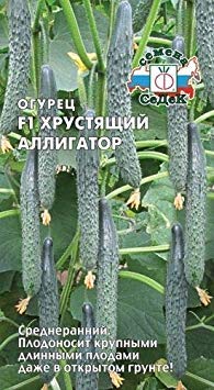 Potseed Russische Gurke-Samen F1-Hybride Lange Früchte für Gewächshäuser und Außen von Potseed