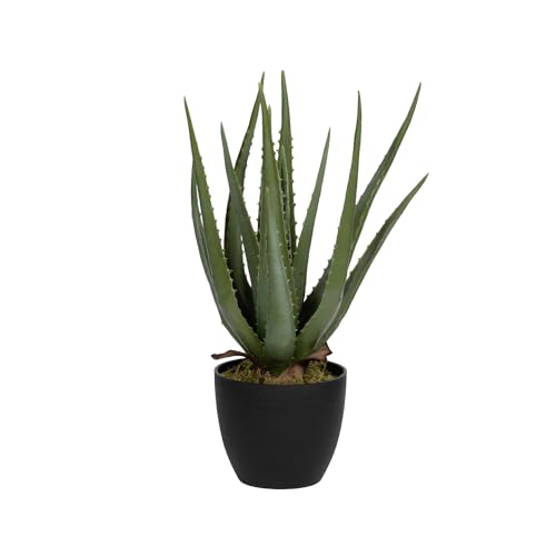 Pottery Pots Artificial Plants Aloe M, Green | L: 19 x W: 19 x H: 55 von Pottery Pots