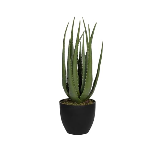 Pottery Pots Artificial Plants Aloe S, Green | L: 14 x W: 14 x H: 45 von Pottery Pots