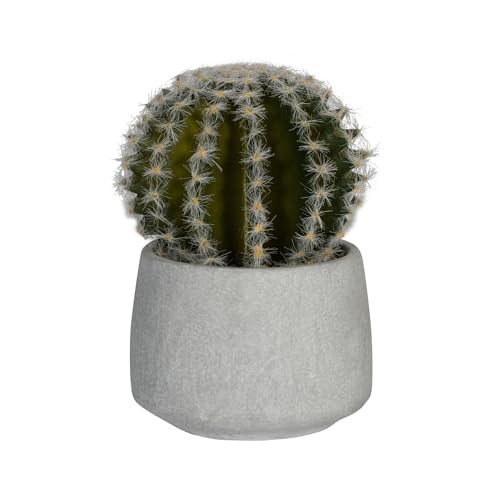 Pottery Pots Artificial Plants Cactus in Cement Pot S, Green | L: 11 x W: 11 x H: 17 von Pottery Pots