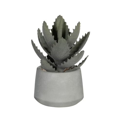 Pottery Pots Artificial Plants Echeveria in Cement Pot S, Gree | L: 13 x W: 13 x H: 19,5 von Pottery Pots