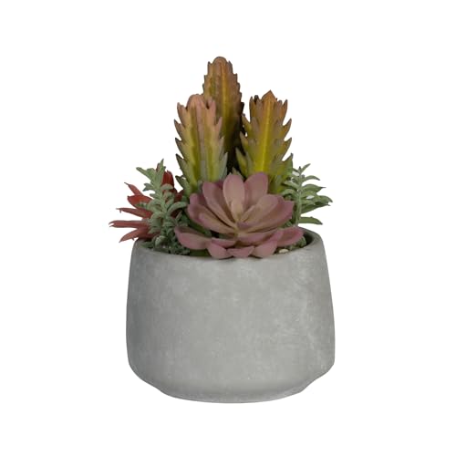 Pottery Pots Artificial Plants Mixplants in Cement Pot S, Mixe | L: 14 x W: 14 x H: 18 von Pottery Pots