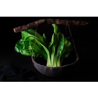 Rustikale Schwarze Keramikschale Mit Zweiggriff Food Fotografie Prop Rustikale Schwarze Keramikschale Mit Zweiggriff Food Fotografie Prop von PotteryProps