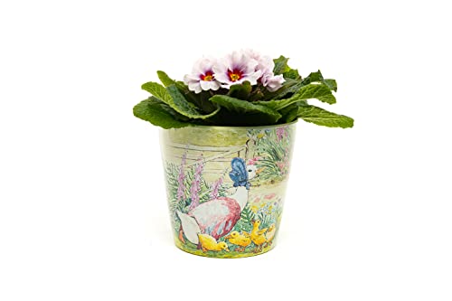 Beatrix Potter Peter Rabbit Eco Töpfe Set 1 – Mrs Tiggy-Winkle, Jemima & Mr Tod und Peter & Mr McGregor Töpfe als Set von 3 von Potty Feet