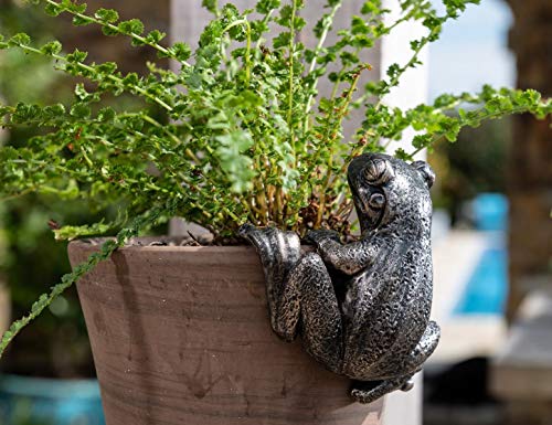 Pot Buddies Handgefertigte Froschfigur Pflanztopf Aufhänger – Dekorative hängende Gartendekoration – Blumen-Übertopf Figur von Potty Feet