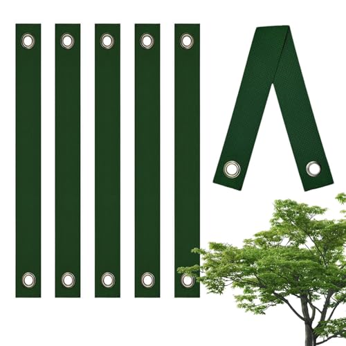 Baumgurt Tree Support Straps Wiederverwendbar Baumstützgurte 6er Set Reißfestes Nylon Pflanzenband Windfest & Rostfrei Für Bäume/Sträucher Wachstumsschonend Baumgurt Tree Support Straps Wiederverwendbar Baumstützgurte 6er Set Reißfestes Nylon Pflanzenband Windfest & Rostfrei Für Bäume/Sträucher Wachstumsschonend von Poupangke