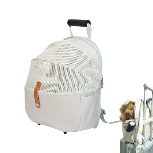 Katzentransportbox - Haustier-Rucksack für Kleine Hunde - Weiche Polsterung Tragetasche für Tierarztbesuche Kurztrips Spaziergänge Reisen Wandern Outdoor von Poupangke