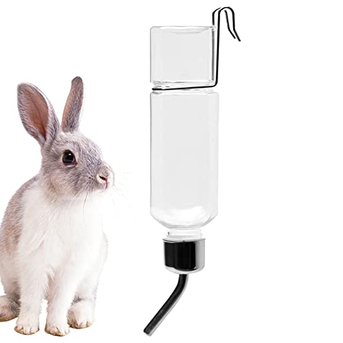 Povanjer Bunny Wasserspender - 350 ml Kaninchen-Trinkflasche mit Edelstahl-Aufhänger | Einfache Installation, tropffreies Haustier-Trinkzubehör für Zuhause, Tierhandlung Povanjer Bunny Wasserspender - 350 ml Kaninchen-Trinkflasche mit Edelstahl-Aufhänger | Einfache Installation, tropffreies Haustier-Trinkzubehör für Zuhause, Tierhandlung von Povanjer