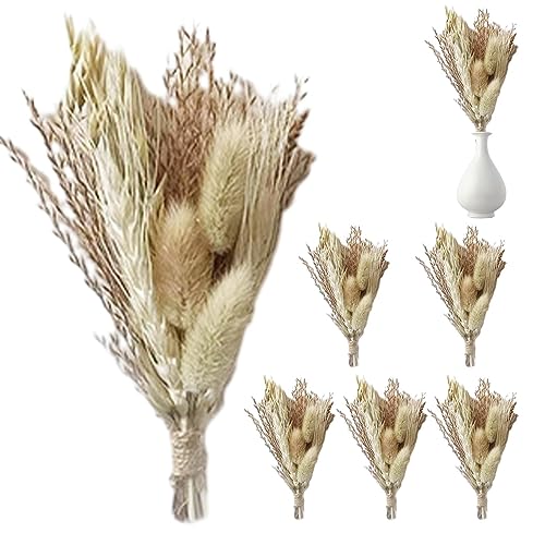 Getrocknete Blumen, getrocknete Blumen, natürliche getrocknete Blumen, Tischdekoration mit trockenen Blumen für Brautpartys Getrocknete Blumen, getrocknete Blumen, natürliche getrocknete Blumen, Tischdekoration mit trockenen Blumen für Brautpartys von Povanjer