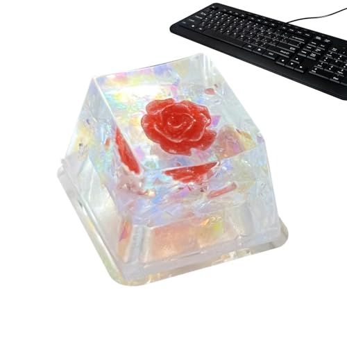 Povanjer Tastatur-Tastenkappen aus Harz,Tastenkappen aus Harz | Resin Trockenblumen Spiel Tastatur Schlüsselkappe | -Ersatz, glänzt durch die durchscheinende R4-Tastenkappe, verbessertes von Povanjer