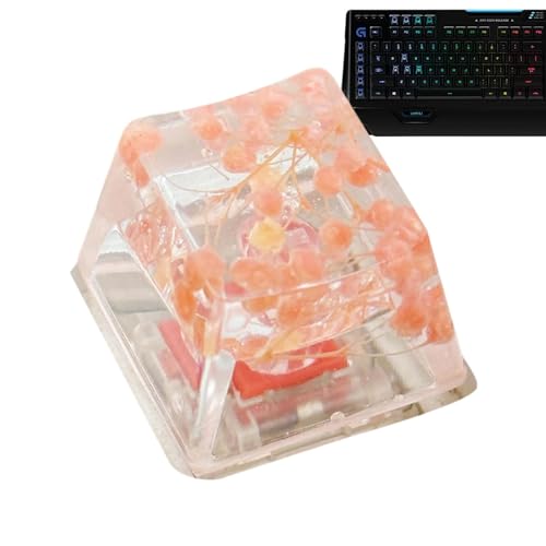 Povanjer Tastatur-Tastenkappen aus Kunstharz, Rücktaste, Blumen-Tastenkappen | Gypsophila Game Keyboard Keycap, Ersatz, durchscheinende Esc-Tastenkappe, R4-Tastenkappe, Blume Povanjer Tastatur-Tastenkappen aus Kunstharz, Rücktaste, Blumen-Tastenkappen | Gypsophila Game Keyboard Keycap, Ersatz, durchscheinende Esc-Tastenkappe, R4-Tastenkappe, Blume von Povanjer