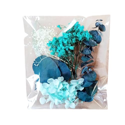 Trockenblumen Natürliche Getrocknete Blumen Trockenblumen Zum Basteln Blumen Natürliche Gemischte Klein Trockenblumen Set für Kunst DIY Harz Scrapbooking Handwerk Karten Machen von Povanjer