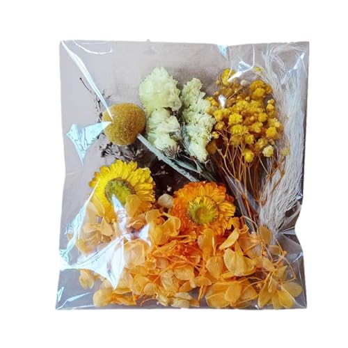 Trockenblumen Natürliche Getrocknete Blumen Trockenblumen Zum Basteln Blumen Natürliche Gemischte Klein Trockenblumen Set für Kunst Harz Scrapbooking Handwerk Karten Machen von Povanjer