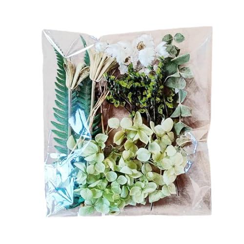 Trockenblumen Natürliche Getrocknete Blumen Trockenblumen Zum Basteln Blumen Natürliche Gemischte Klein Trockenblumen Set für Kunst Harz Scrapbooking Handwerk Karten Machen Trockenblumen Natürliche Getrocknete Blumen Trockenblumen Zum Basteln Blumen Natürliche Gemischte Klein Trockenblumen Set für Kunst Harz Scrapbooking Handwerk Karten Machen von Povanjer