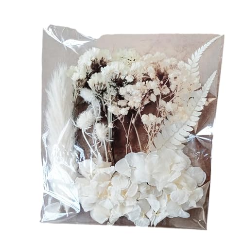Trockenblumen Natürliche Getrocknete Blumen Trockenblumen Zum Basteln Blumen Natürliche Gemischte Klein Trockenblumen Set für Kunst Harz Scrapbooking Handwerk Karten Machen von Povanjer