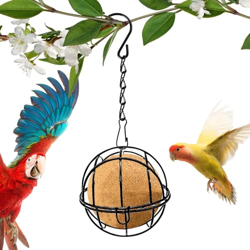 Vogelfutterstation Fat Ball, Kugeln für Vogelfutterhäuschen, Vogelfutterstation für den Garten | Futterspender mit Talgkugel, hängendes Vogelfutterhaus für den Außenbereich Vogelfutterstation Fat Ball, Kugeln für Vogelfutterhäuschen, Vogelfutterstation für den Garten | Futterspender mit Talgkugel, hängendes Vogelfutterhaus für den Außenbereich von Povanjer