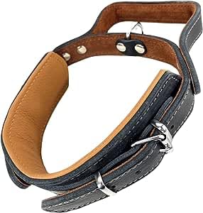 POWERHAUS24 Hundehalsband mit Griff, Leder (55cm x 60mm) von POWERHAUS24