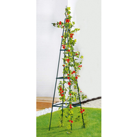 Dekorative Rankhilfe - Pyramide Dekorative Rankhilfe - Pyramide von Powertec Garden